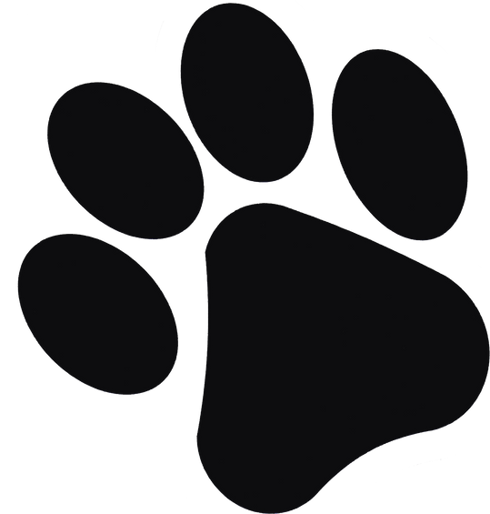 Animal Footprint Illustration
